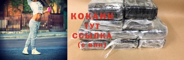 ECSTASY Инсар