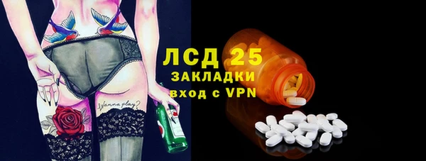 ECSTASY Инсар