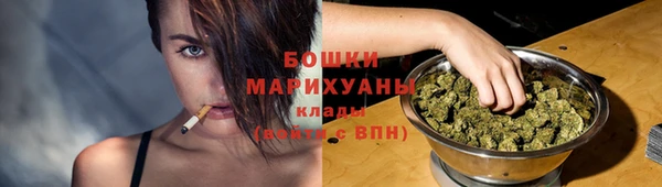 ECSTASY Инсар