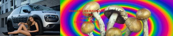 СК Иннополис