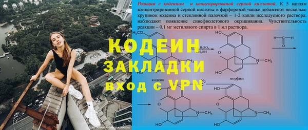 гашик Каменногорск
