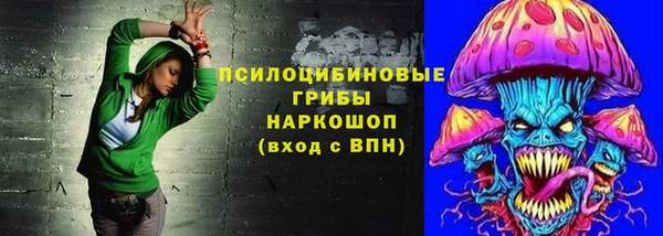 ECSTASY Инсар