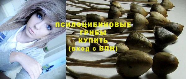 ECSTASY Инсар
