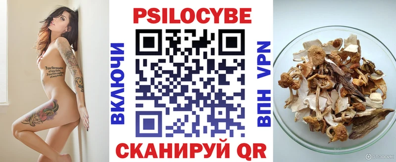 Галлюциногенные грибы Psilocybine cubensis  Купить где  Игарка 