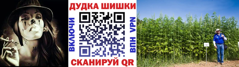 Купить где  Игарка  Бошки Шишки конопля 